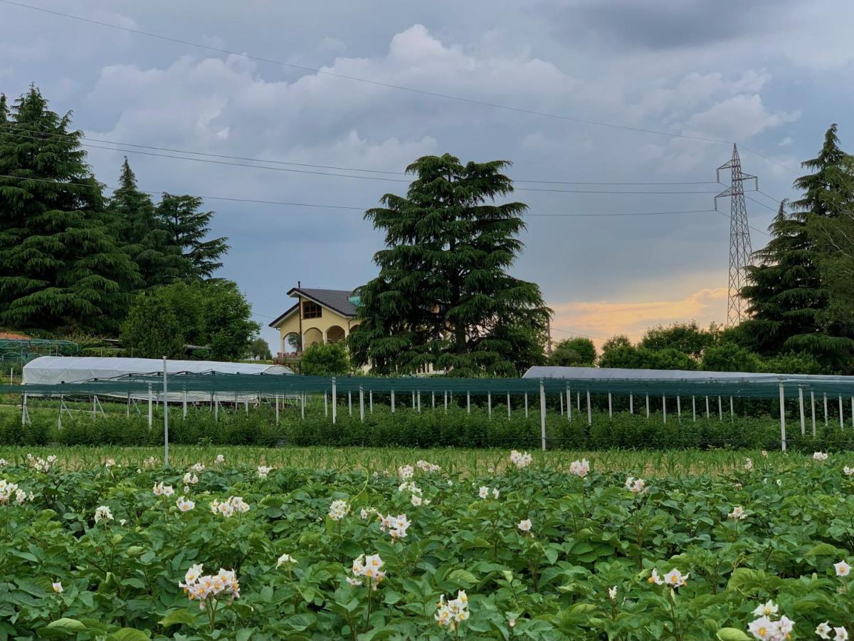 B&B Alla Roggetta Cremella Esterno foto